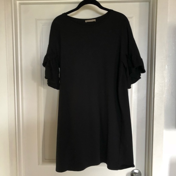Zara Dresses & Skirts - Zara ruffle sleeves dress